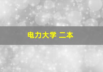 电力大学 二本